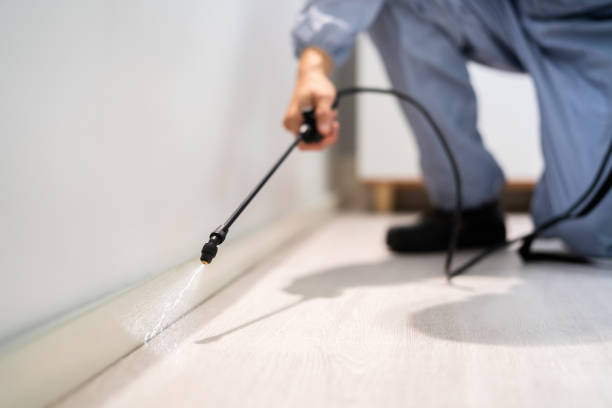Licensed Pest Control service in Shell Lake, WI - Show Me Pest Control