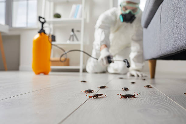 Commercial Kitchen Cockroach Control in Shell Lake